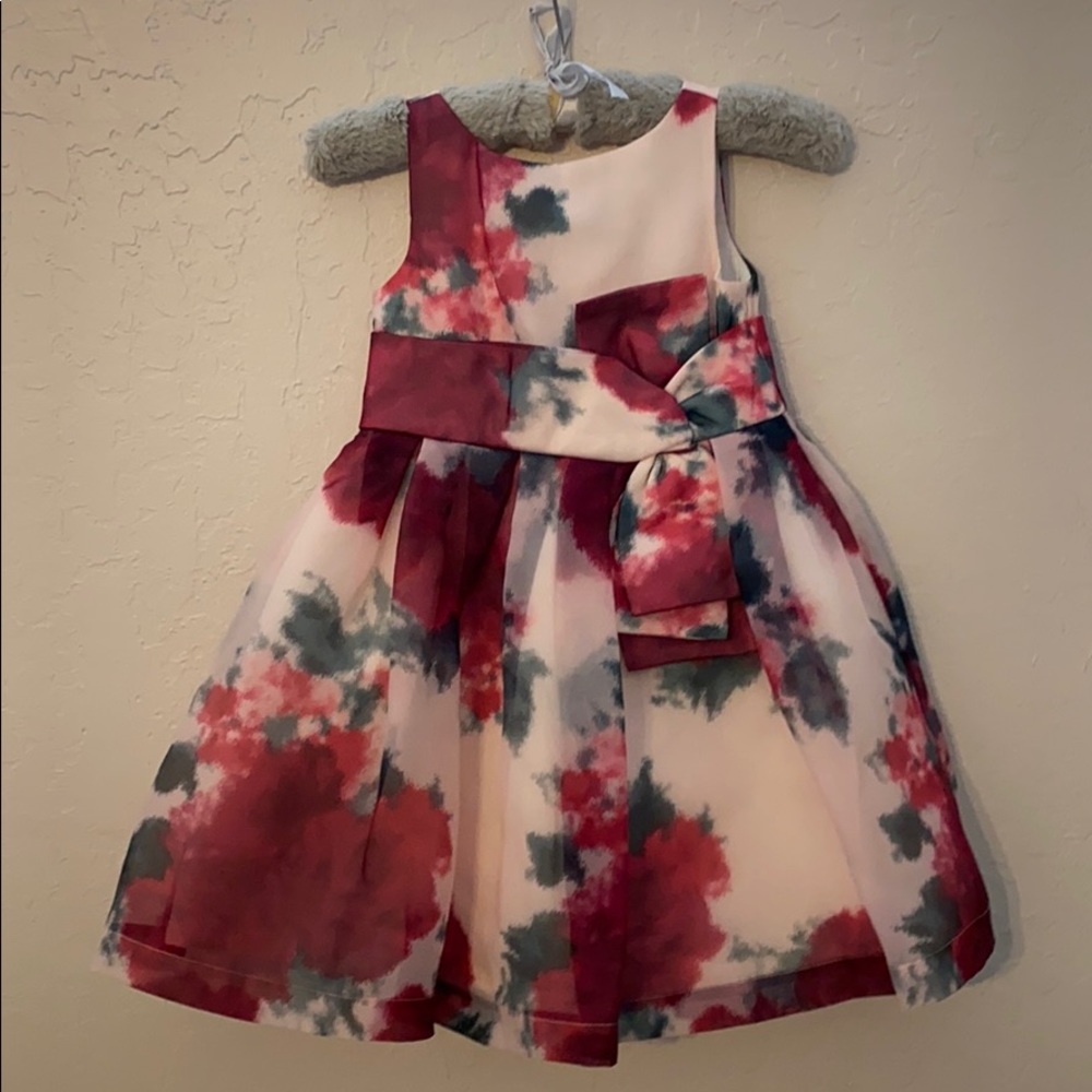 Janie and Jack Dress